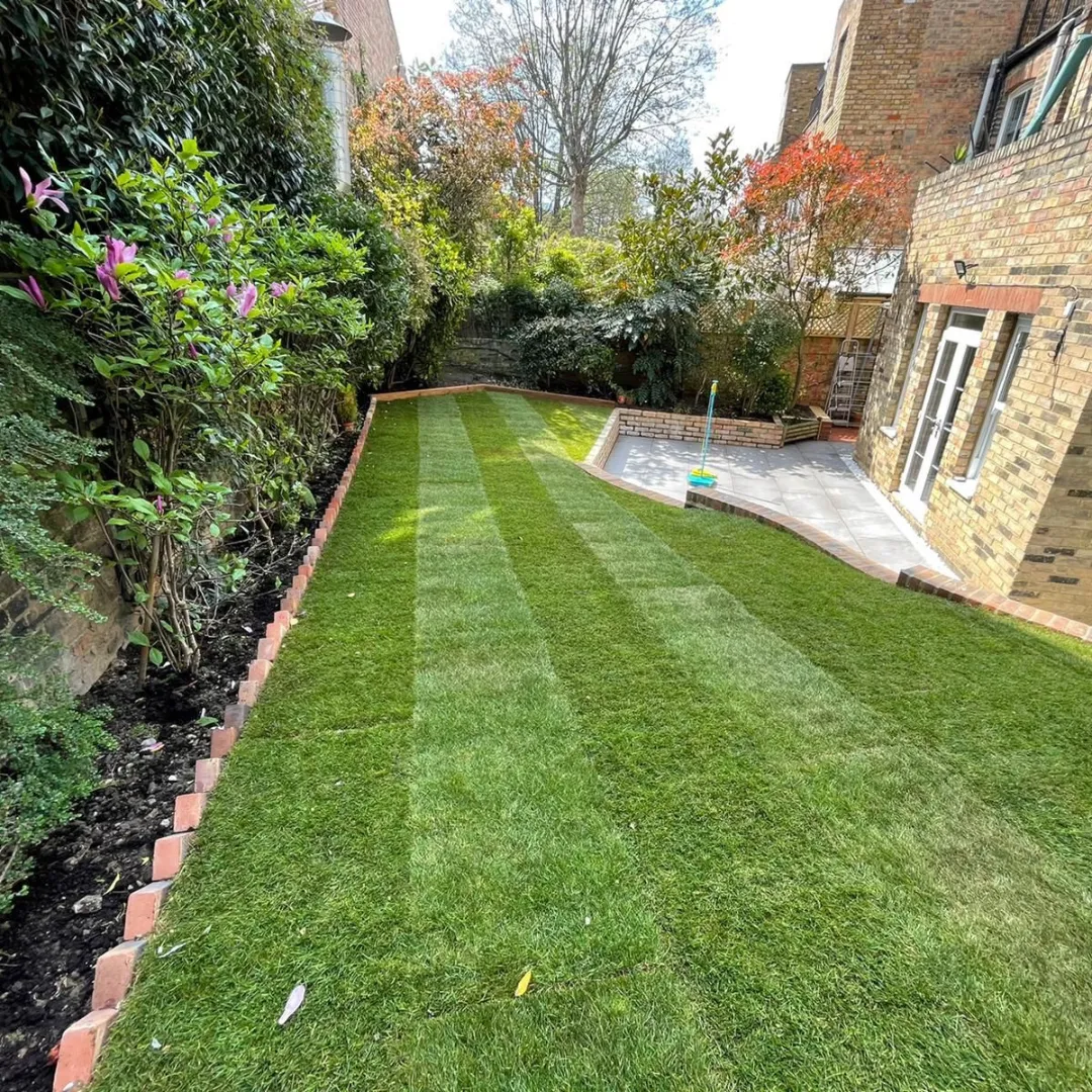 Lawns